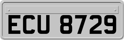 ECU8729