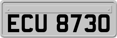 ECU8730