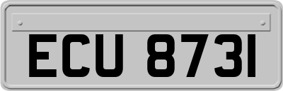 ECU8731