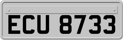 ECU8733