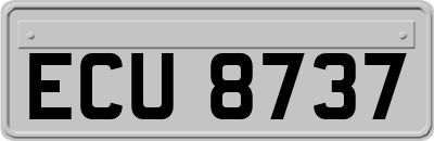 ECU8737