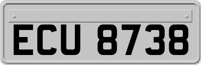 ECU8738