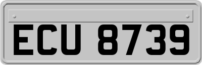 ECU8739