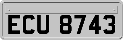 ECU8743