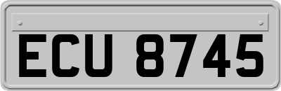 ECU8745
