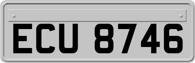 ECU8746