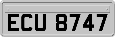 ECU8747