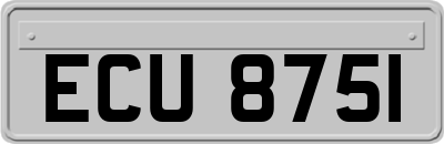 ECU8751