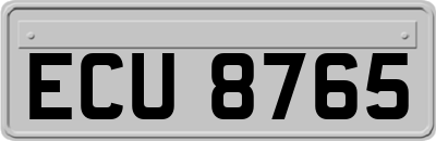 ECU8765