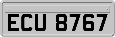 ECU8767