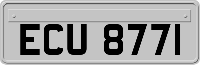 ECU8771
