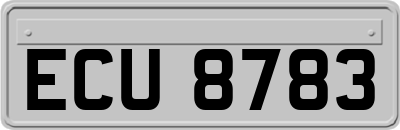 ECU8783