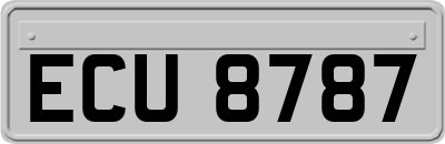 ECU8787