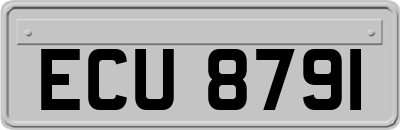 ECU8791