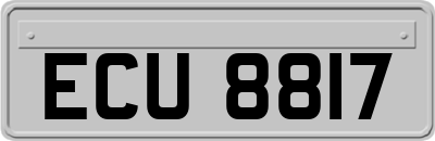 ECU8817