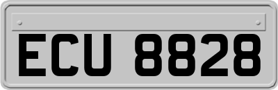 ECU8828