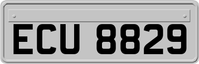 ECU8829