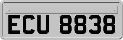 ECU8838