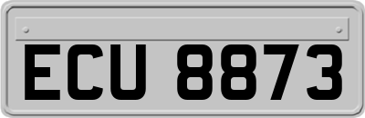 ECU8873