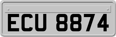 ECU8874