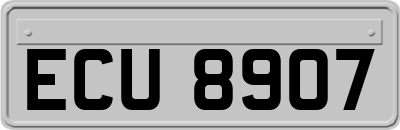 ECU8907