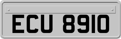 ECU8910