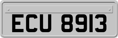 ECU8913