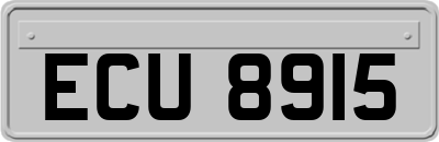 ECU8915