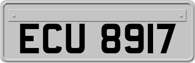 ECU8917