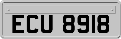 ECU8918