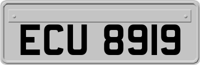 ECU8919