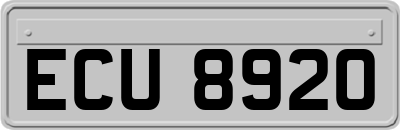 ECU8920