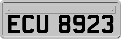ECU8923