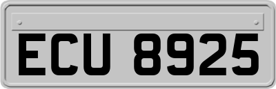 ECU8925
