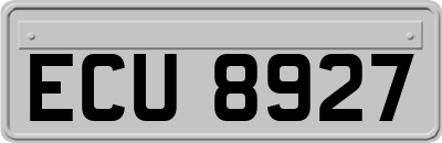 ECU8927