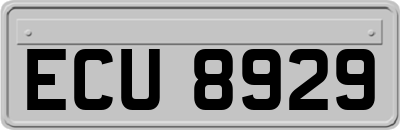 ECU8929
