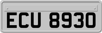 ECU8930