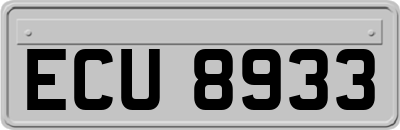 ECU8933