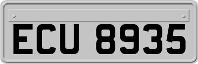 ECU8935