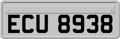 ECU8938