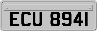 ECU8941