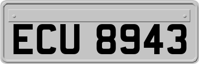 ECU8943