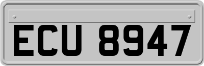 ECU8947