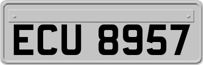 ECU8957