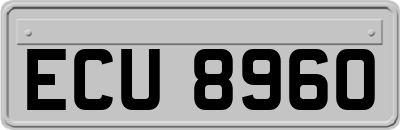 ECU8960
