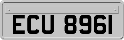 ECU8961