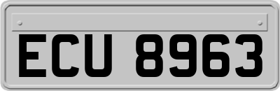 ECU8963
