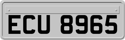 ECU8965