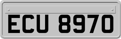 ECU8970