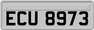 ECU8973